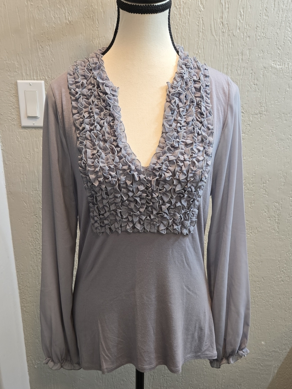 August Silk Ruffled Bib V Neck Top with Sheer Long Sleeves
